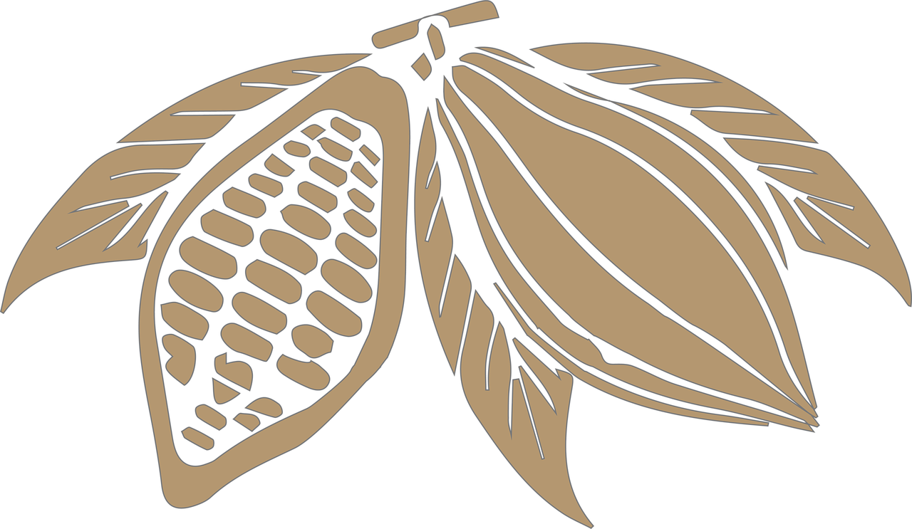Cacao-Clipart-PNG